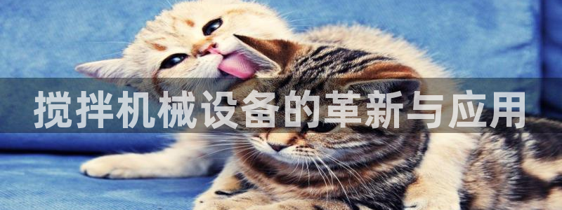 金年会体育app最新官网入口