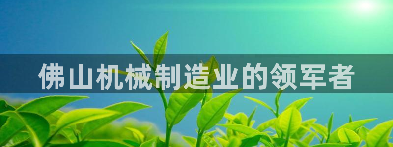 金年会体育app网页版官方入口