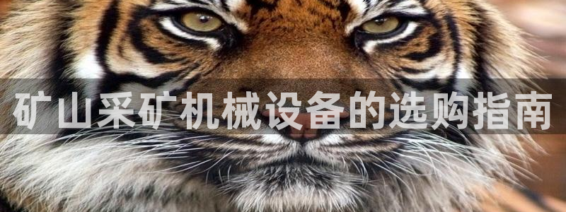 金年会体育app入口在哪