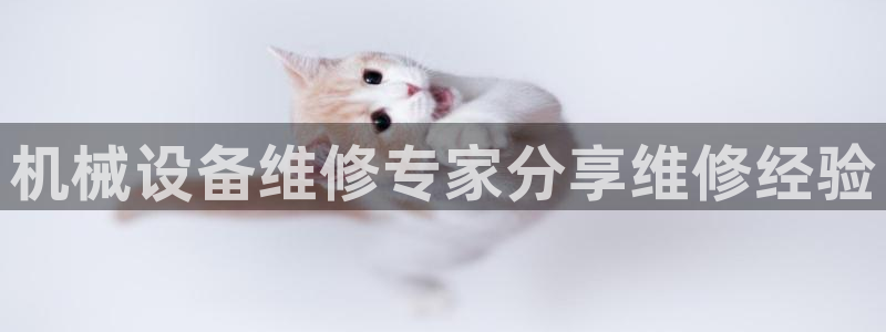 金年会是正规平台吗