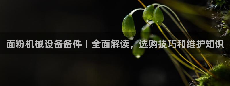 金年会体育论坛官网