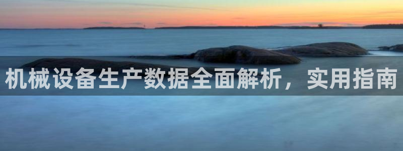 今年会金年会