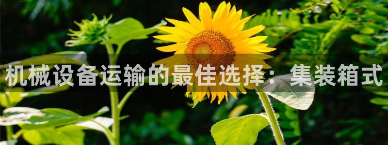金年会-金字招牌信誉至上正规吗