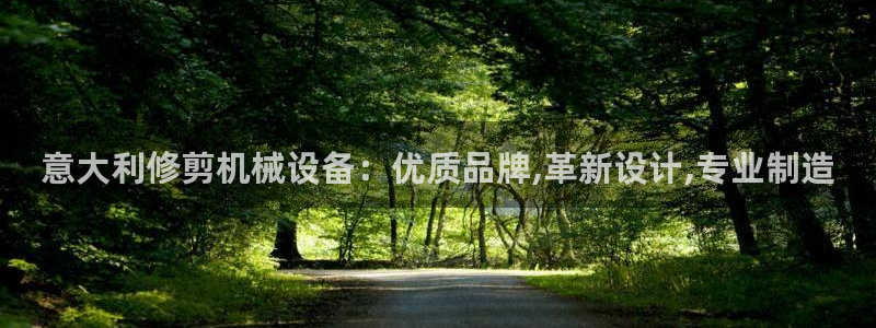 金年会官方入口APP