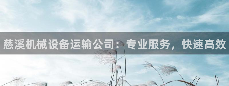 金年会体育app下载官网安卓