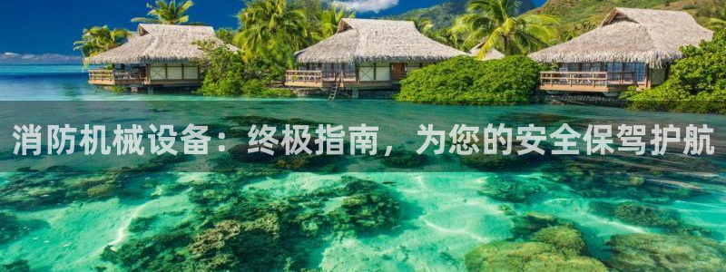 金年会网站下载
