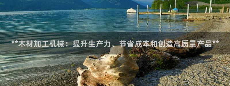 金年会体育竞彩app