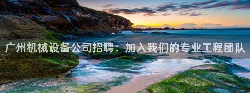 金年会体育app官网下载