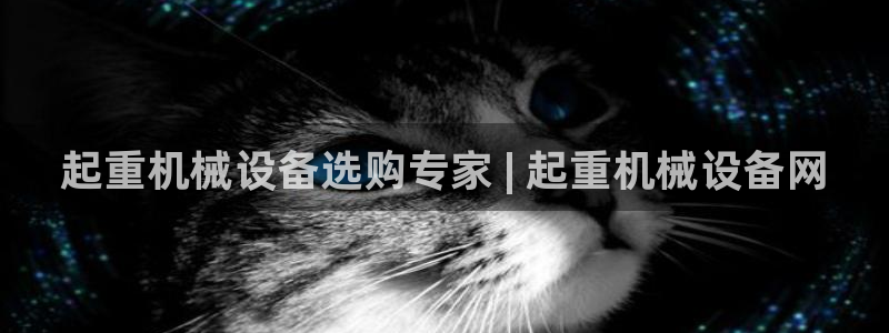 金年会体育app下载官网苹果手机