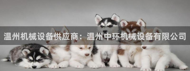 金年会金字招牌登录入口评测