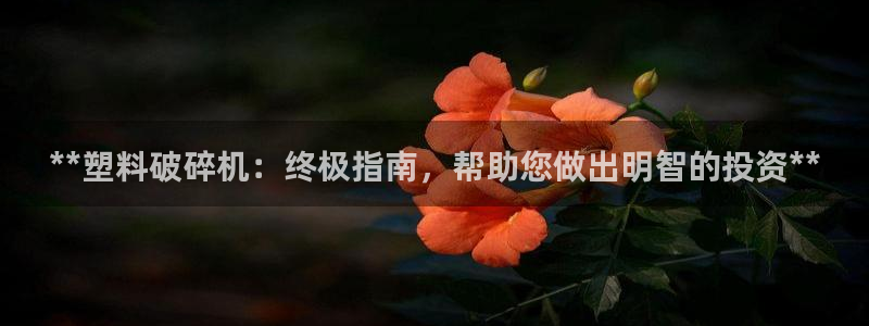 金年会电子游戏app