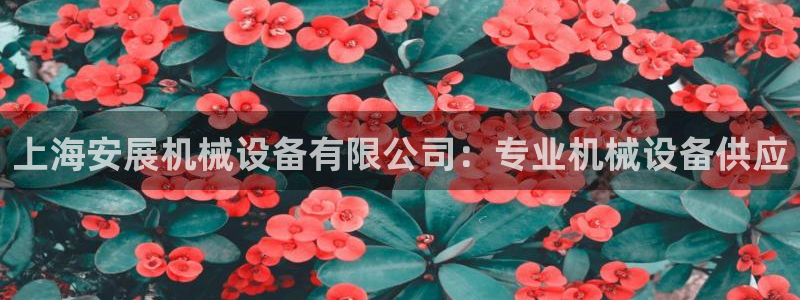 金年会app下载官网登录入口