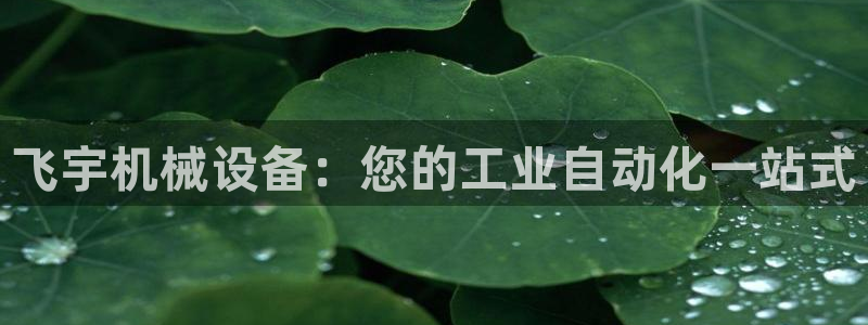 金年会官方在线入口网址