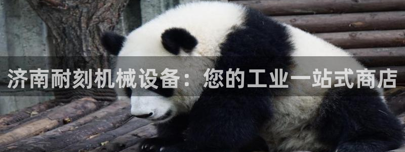 金年会官方入口登录网站