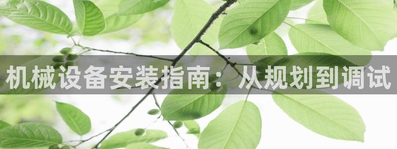 金年会是什么平台会不会提不了现