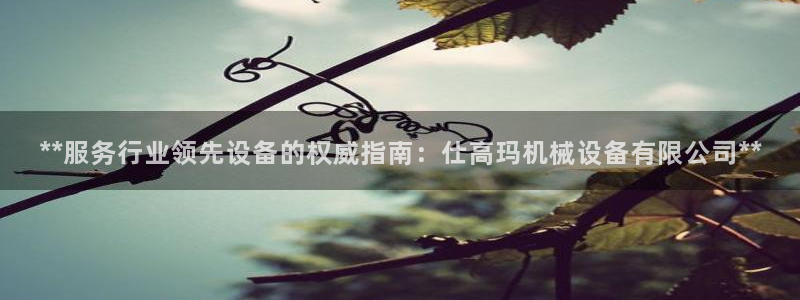 金年会是什么平台