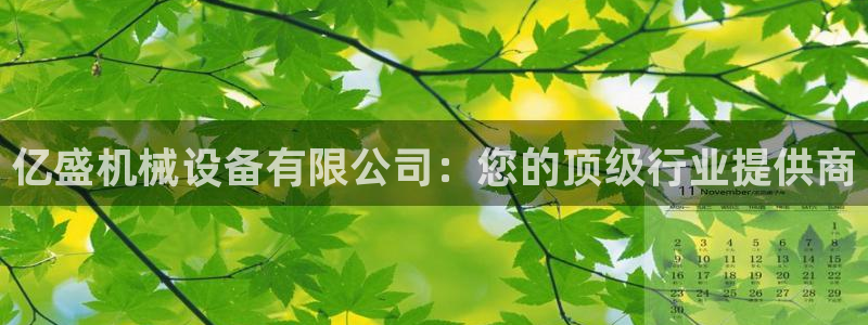 jinnianhui金年会下载：亿盛机械设备有限公司：您的顶级行业提供商