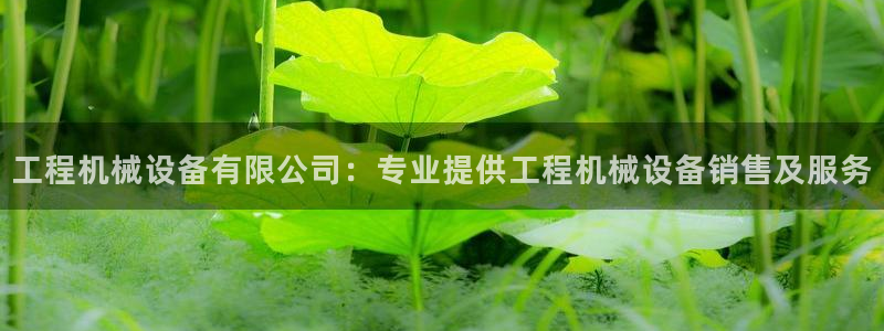 金年会在线入口：工程机械设备有限公司：专业提供工程机械设备销售及服务