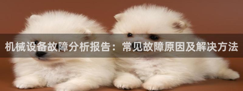 金年会体育app最新官网下载：机械设备故障分析报告：常见故障原因及解决方法