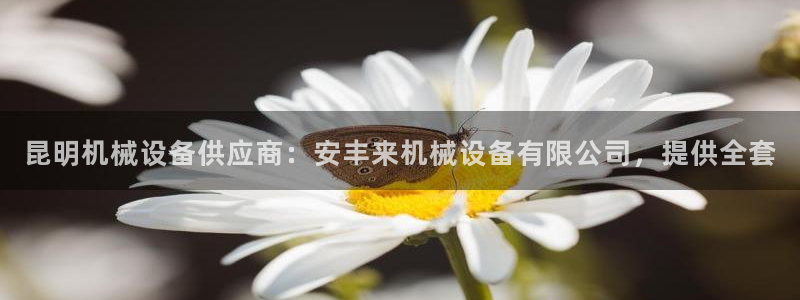 金年会网页版登陆入口：昆明机械设备供应商：安丰来机械设备有限公司，提供全套
