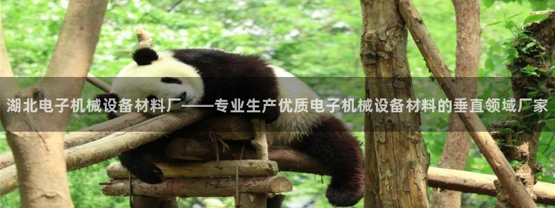 金年会体育下载APP：湖北电子机械设备材料厂——专业生产优质电子机械设备材料的垂直领域厂家