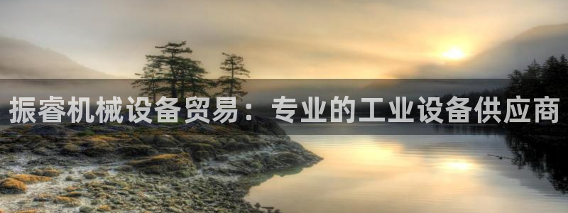 金年会体育是合法的吗：振睿机械设备贸易：专业的工业设备供应商