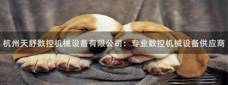 金年会体育网页登录：杭州天舒数控机械设备有限公司：专业数控机械设备供应商