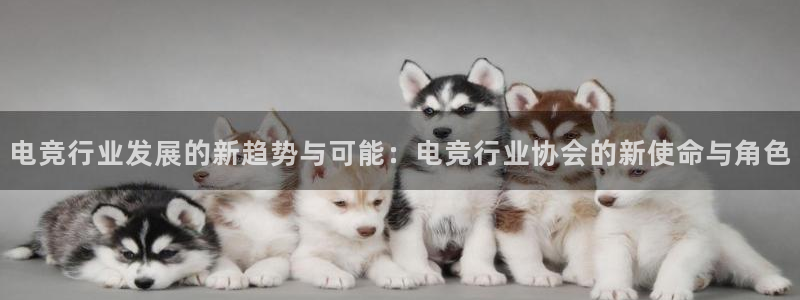 乐竞电竞学院怎么样：电竞行业发展的新趋势与可能：电竞行业协会的新使命与角色