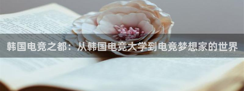 乐竞电竞竞猜：韩国电竞之都：从韩国电竞大学到电竞梦想家的世界