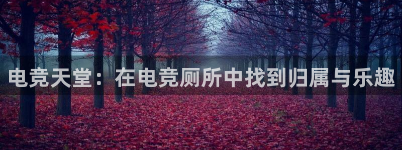 乐竞电竞官网：电竞天堂：在电竞厕所中找到归属与乐趣