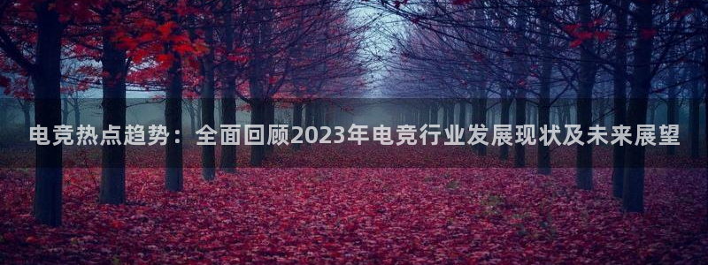 成都乐竞电竞：电竞热点趋势：全面回顾2023年电竞行业发展现状及未来展望
