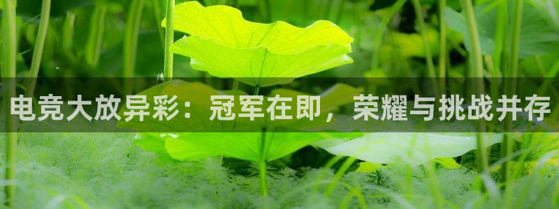 乐竞电竞官网：电竞大放异彩：冠军在即，荣耀与挑战并存