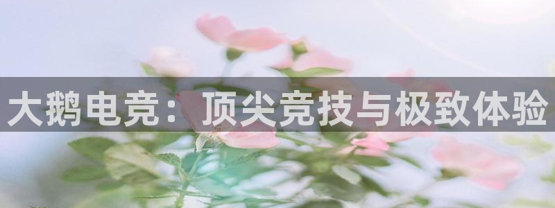 乐竞电竞官网入口