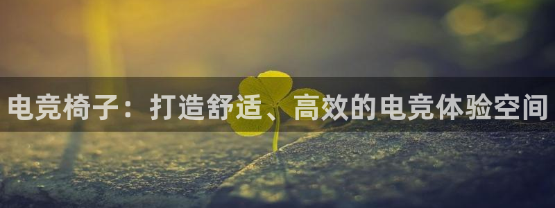乐竞电竞体育官网：电竞椅子：打造舒适、高效的电竞体验空间