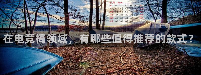 乐竞电竞app：在电竞椅领域，有哪些值得推荐的款式？