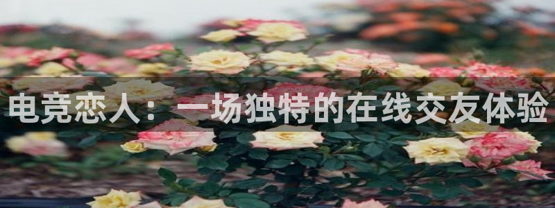 乐竞电竞app官方入口下载：电竞恋人：一场独特的在线交友体验