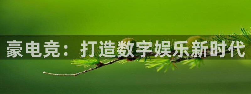 乐竞电竞官网入口：豪电竞：打造数字娱乐新时代
