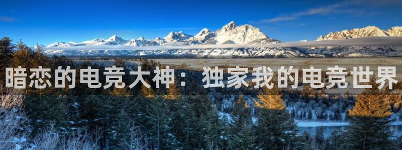 乐竞电竞体育官网：暗恋的电竞大神：独家我的电竞世界