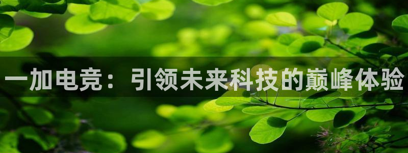 乐竞电竞青训基地怎么样：一加电竞：引领未来科技的巅峰体验