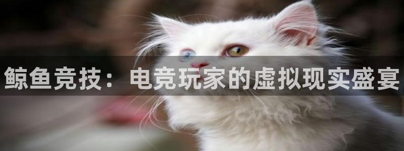 乐竞电竞学院怎么样：鲸鱼竞技：电竞玩家的虚拟现实盛宴