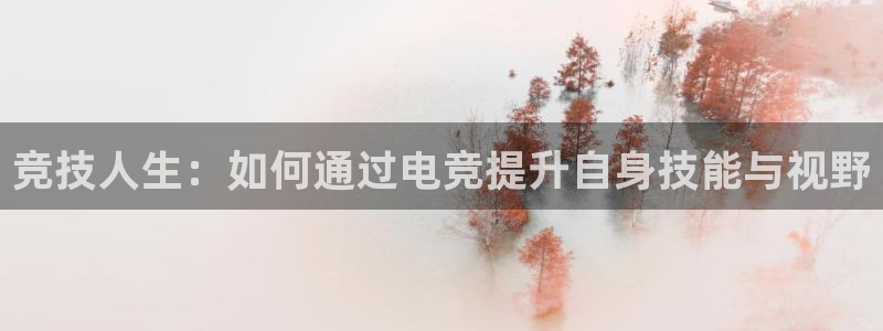乐竞电竞官网入口：竞技人生：如何通过电竞提升自身技能与视野