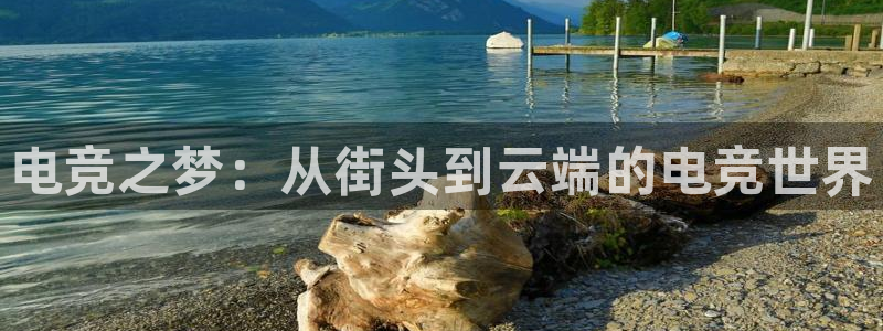乐竞电竞官网：电竞之梦：从街头到云端的电竞世界
