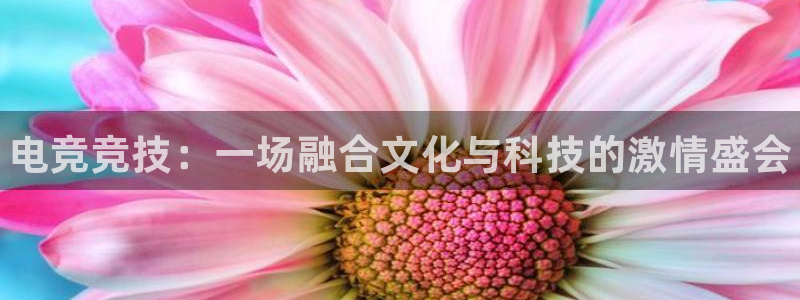 乐竞电竞官网：电竞竞技：一场融合文化与科技的激情盛会