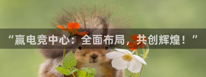 乐竞电竞竞猜：“赢电竞中心：全面布局，共创辉煌！”