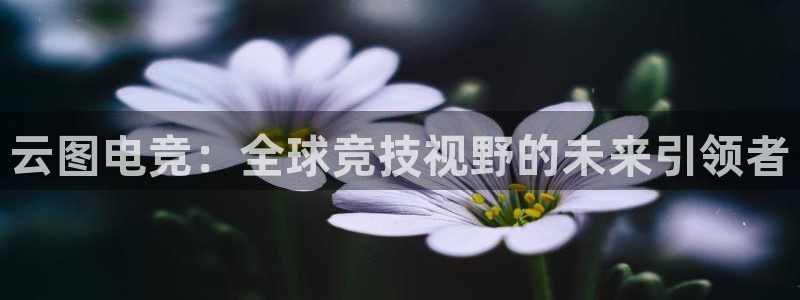 乐竞电竞锁定金额：云图电竞：全球竞技视野的未来引领者