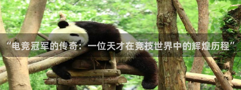 成都乐竞电竞：“电竞冠军的传奇：一位天才在竞技世界中的辉煌历程”