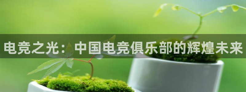 乐竞电竞学院怎么样：电竞之光：中国电竞俱乐部的辉煌未来