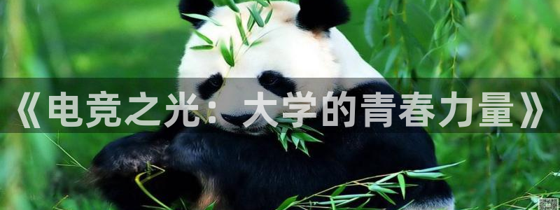 乐竞电竞体育官网：《电竞之光：大学的青春力量》