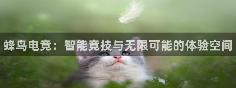 乐竞电竞锁定金额：蜂鸟电竞：智能竞技与无限可能的体验空间