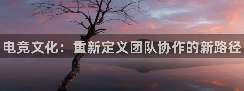 乐竞电竞app：电竞文化：重新定义团队协作的新路径